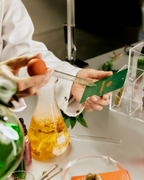 Person holding a bottle of yellow liquid with a green fragrance paper, surrounded by labatory items.